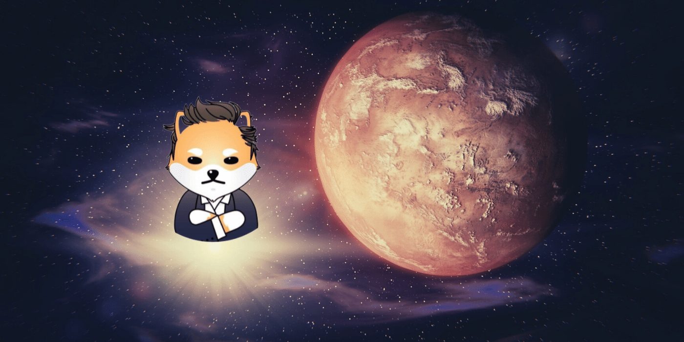 Dogelon Mars O que é?