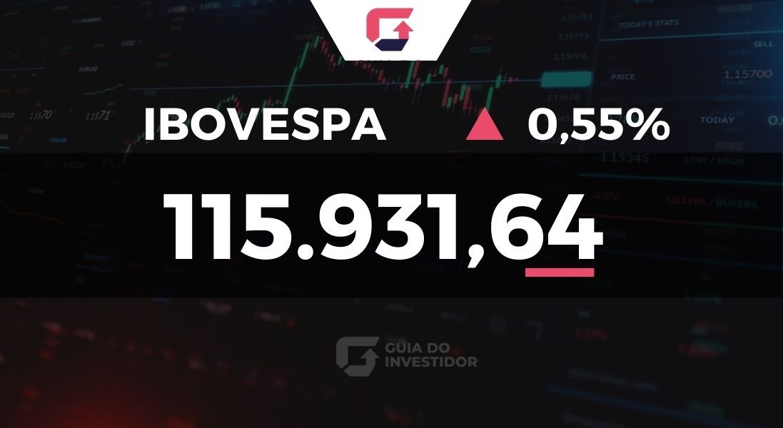 Ibovespa 11