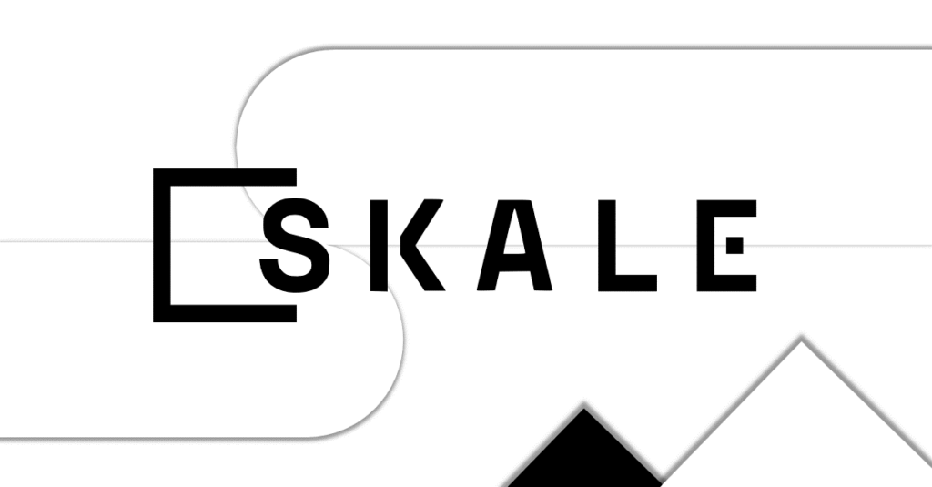 SKALE Network vale a pena? SKALE Network Projeto